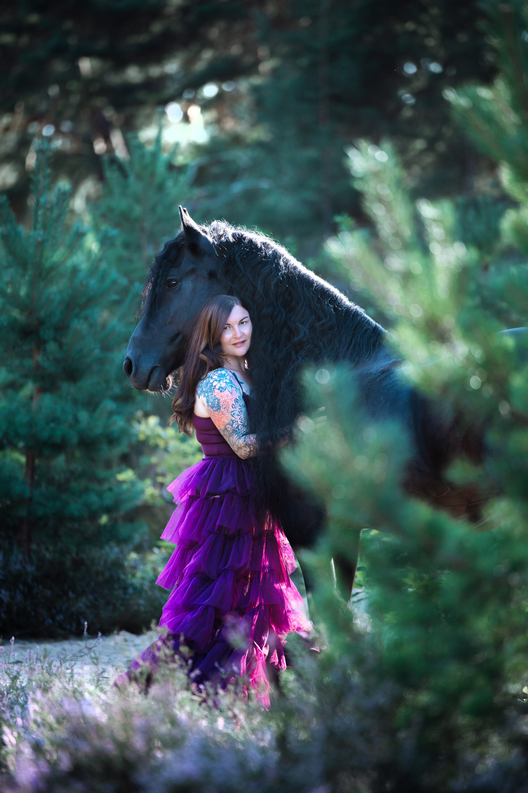 Pferdefotografie im Abendlicht Bayern