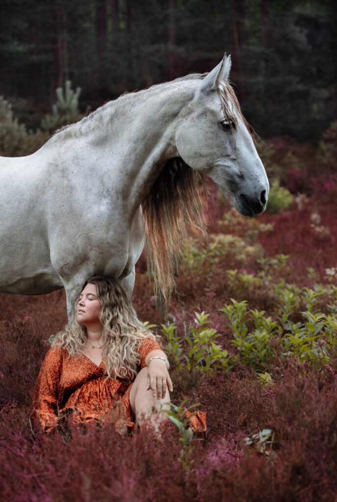 Pferdefotografie Bayern