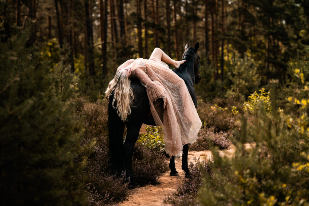 Pferdefotografie in der Heide