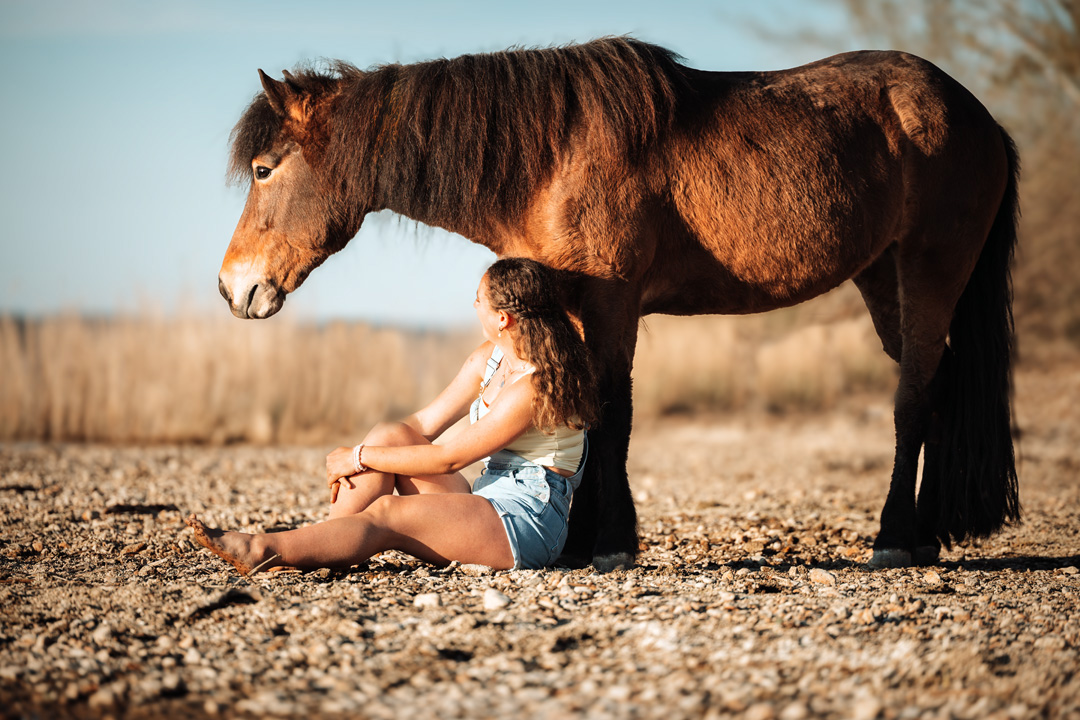 Isländerfotografie in Mittelfranken
Seelenshooting mit Pferd oder Hund Ansbach