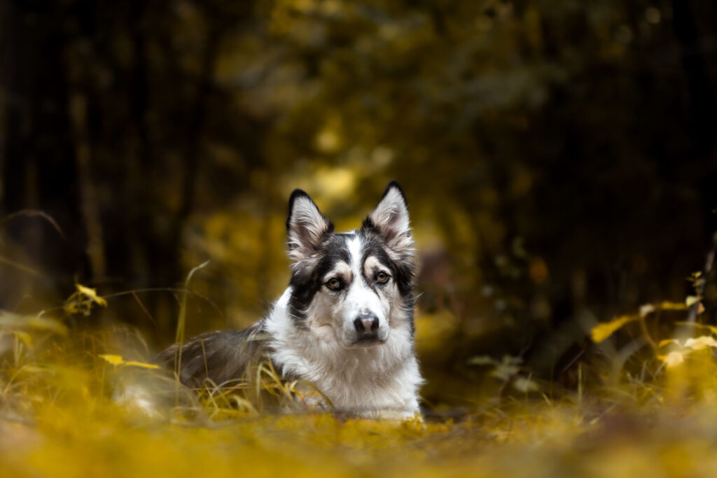 Regenbogenshooting in Ansbach