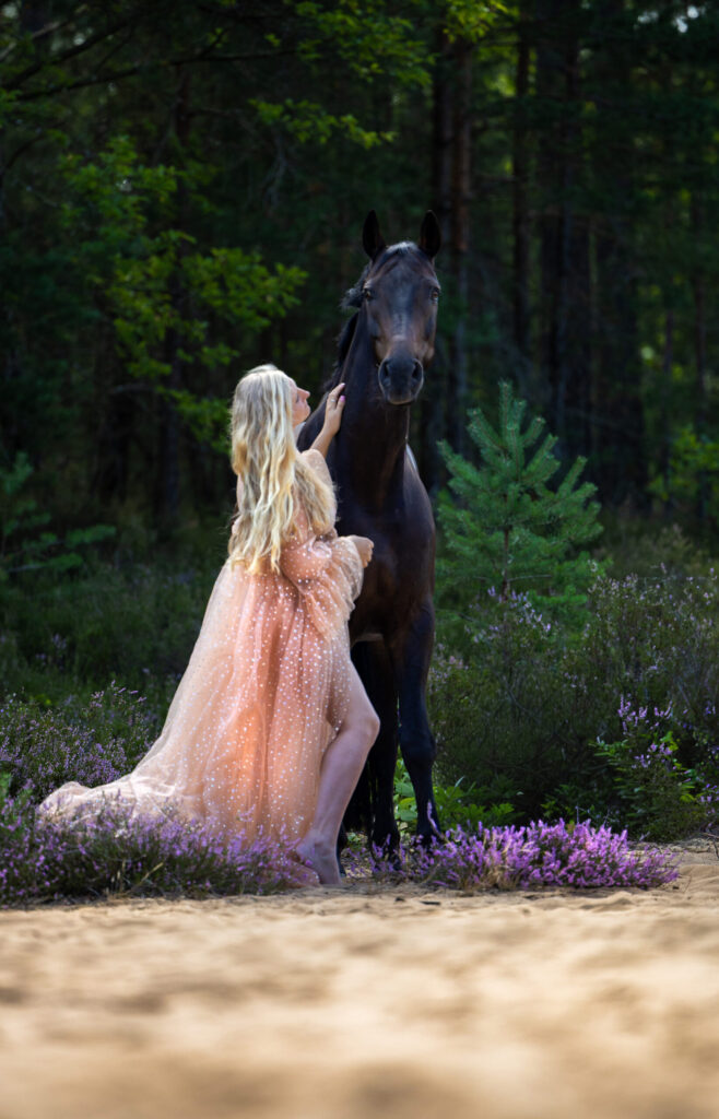 Pferdefotografie in der Heide